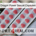 Dragon Power Sexual Capsules 19